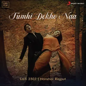 Tumhi Dekho Naa - Lofi Flip Song Poster